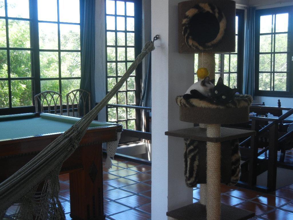 The Cats' House Hotel Florianopolis Bagian luar foto