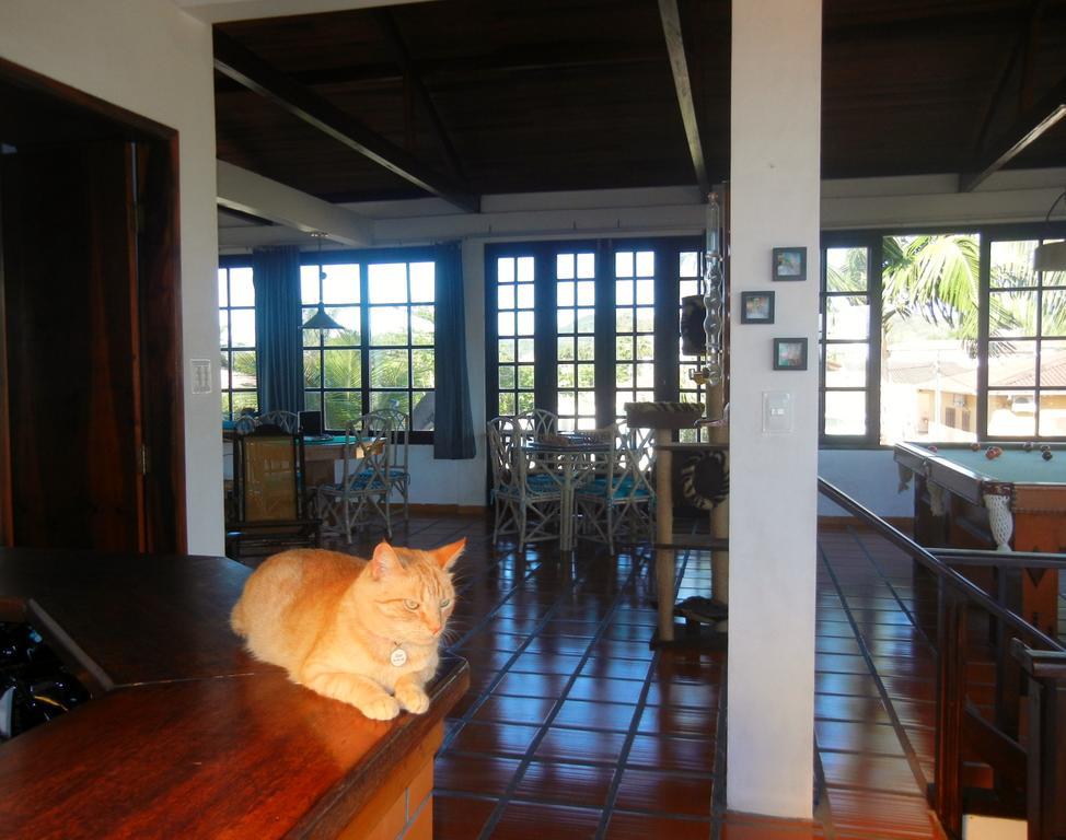 The Cats' House Hotel Florianopolis Bagian luar foto