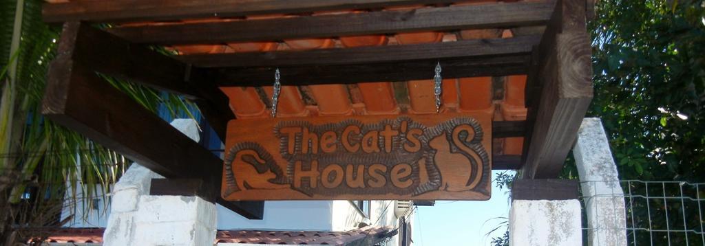 The Cats' House Hotel Florianopolis Bagian luar foto