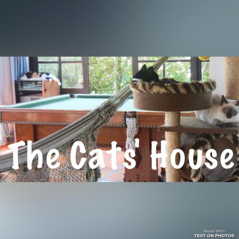 The Cats' House Hotel Florianopolis Bagian luar foto